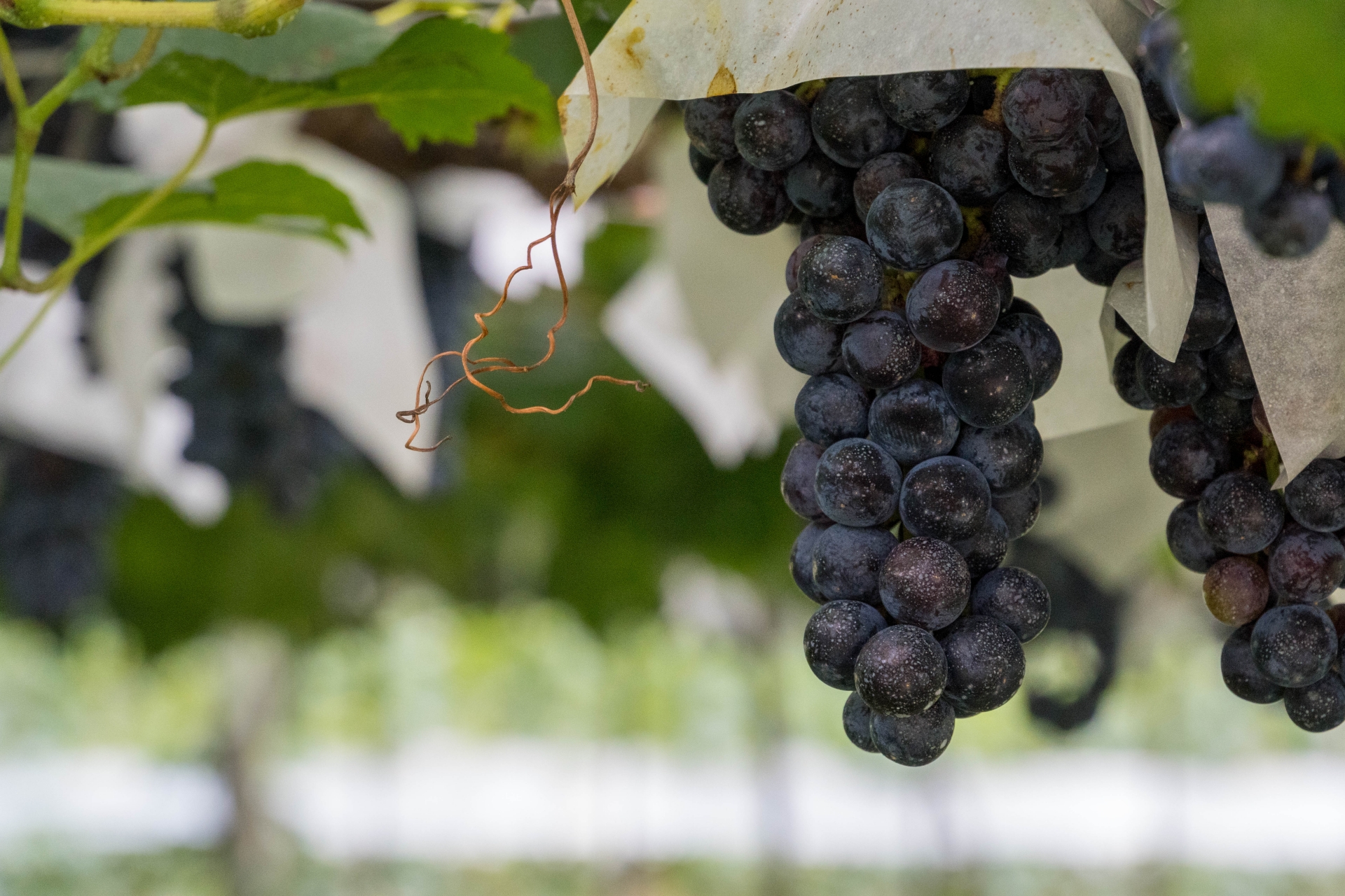 はじめまして。